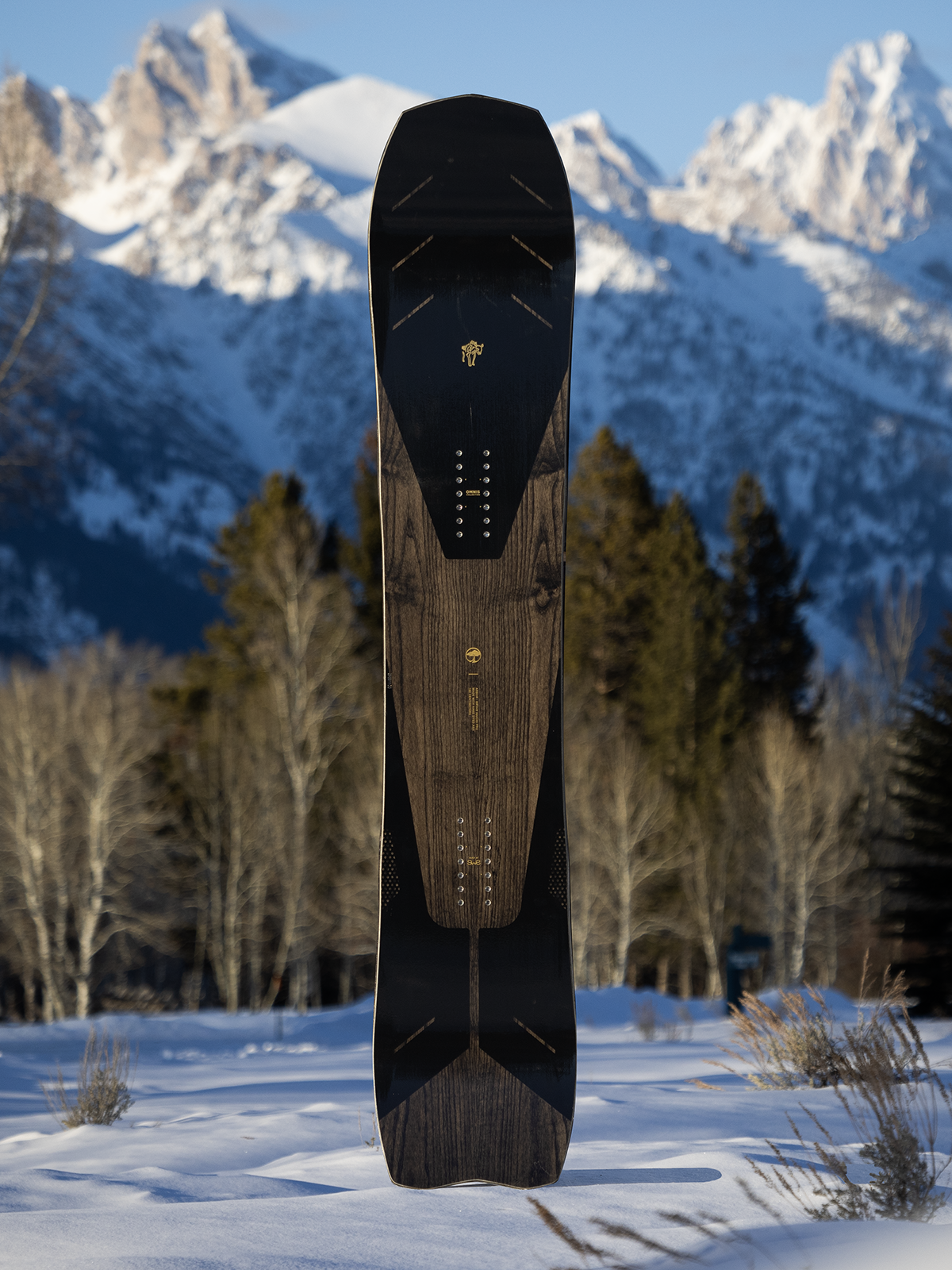 Bryan Iguchi Pro Snowboard