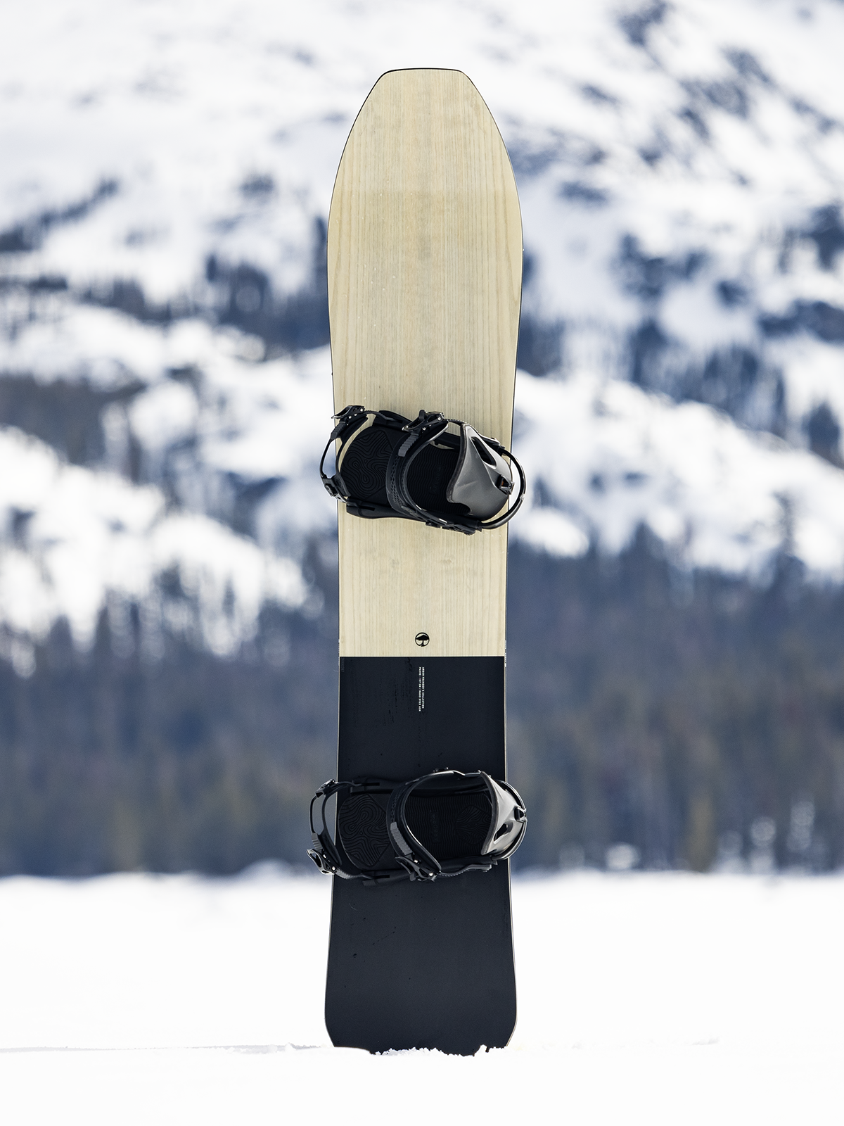 Padre Snowboard