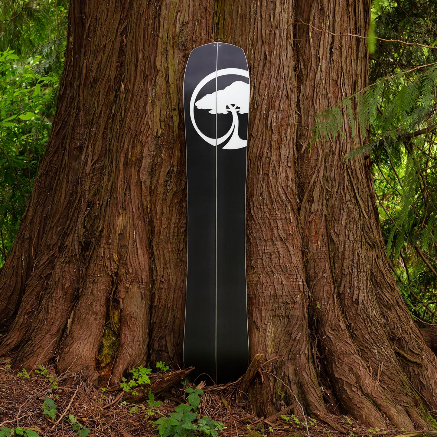 Landmark Splitboard Camber (Factory Second)
