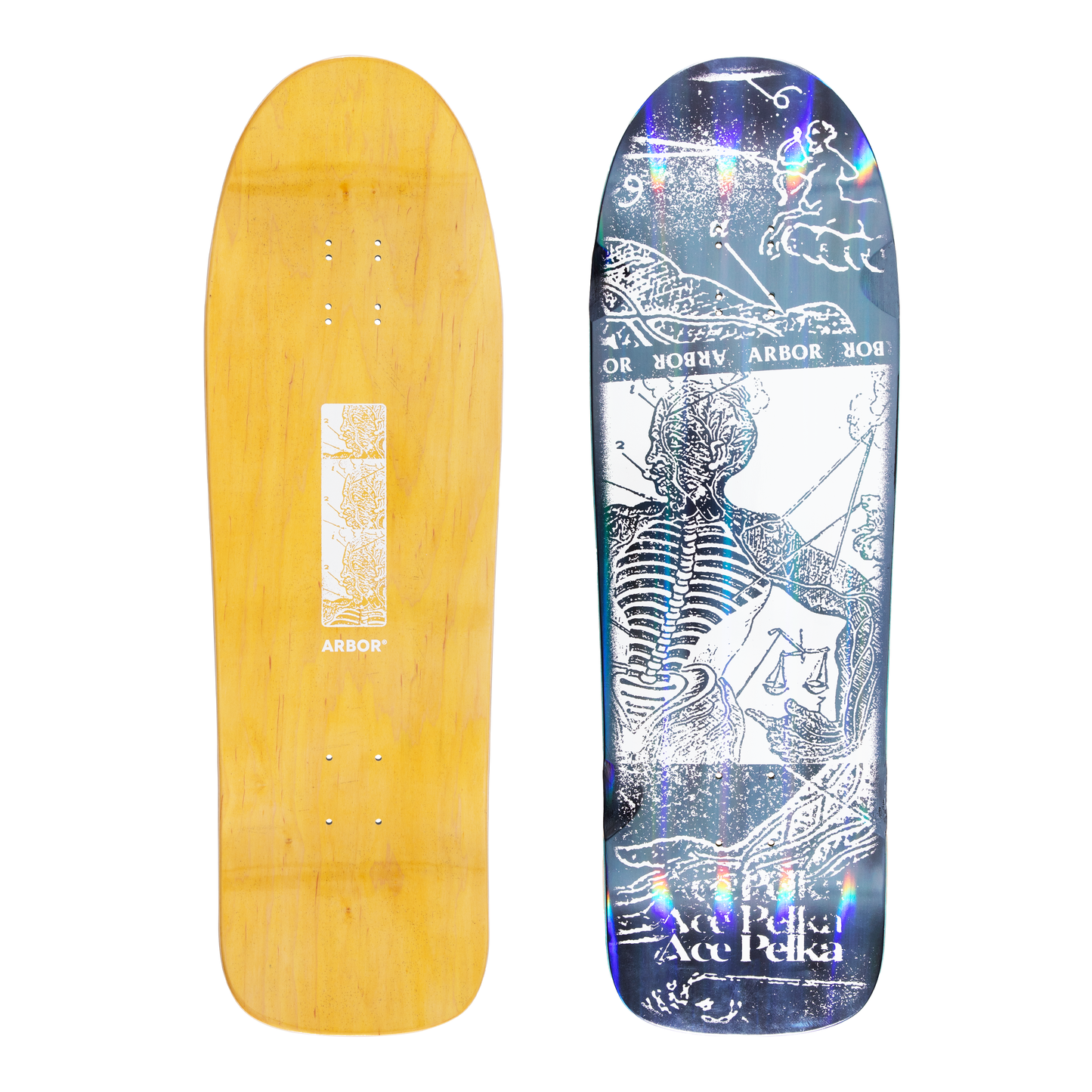 Arbor Ace Pelka Pro Skateboard Deck - Anatomy 9.75