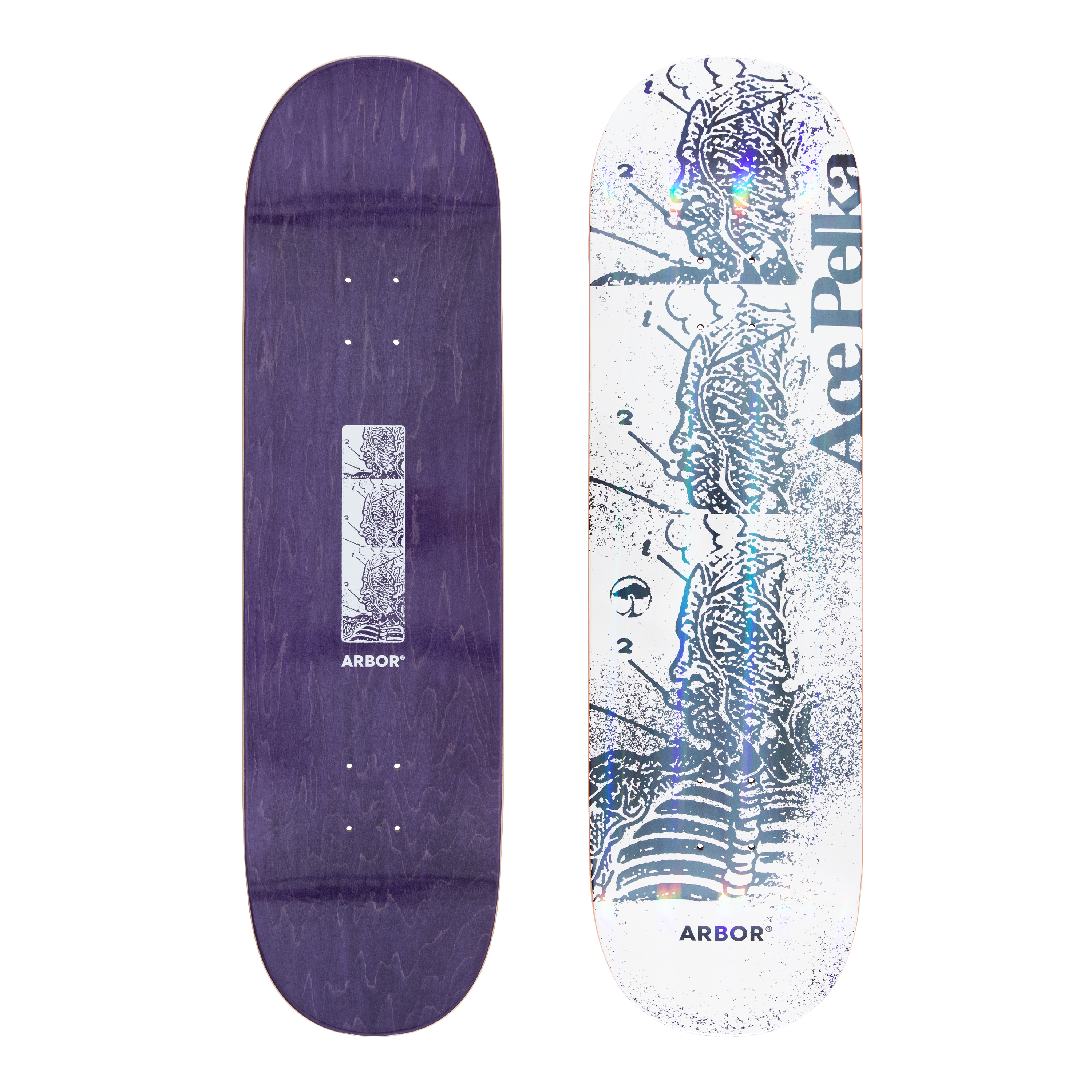 Arbor Ace Pelka Anatomy 8.75 Skateboard Deck – Arbor Collective