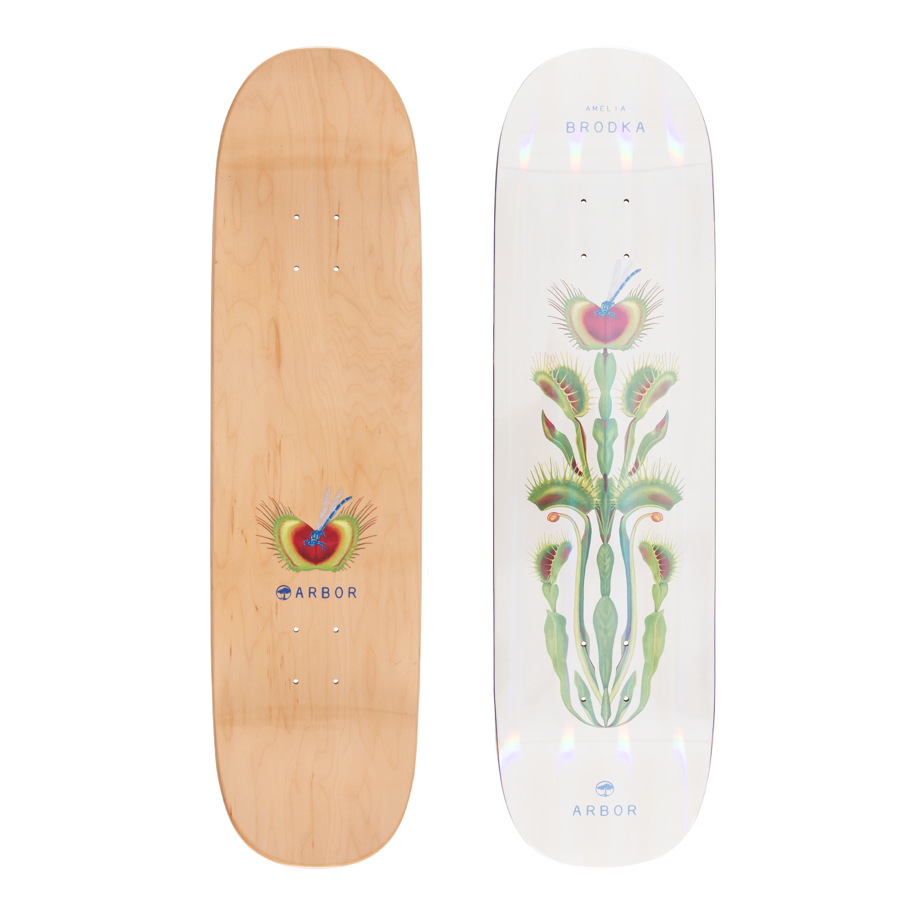 Arbor Amelia Brodka Venus 8.5 Skateboard Deck – Arbor Collective