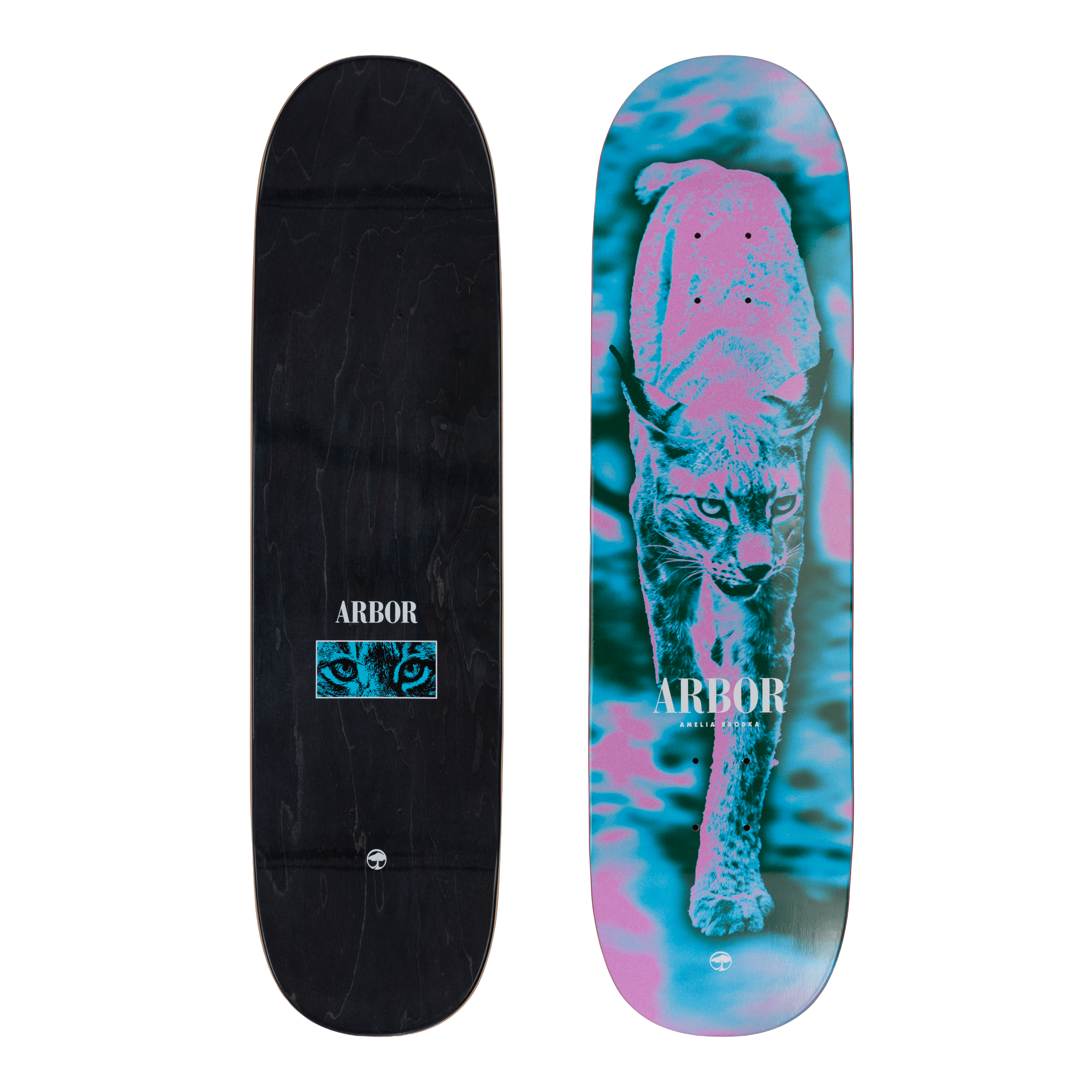 トレイリアのアカデミー Arbor Amelia Brodka Wildcat 8.5 Skateboard Deck – Arbor Collective