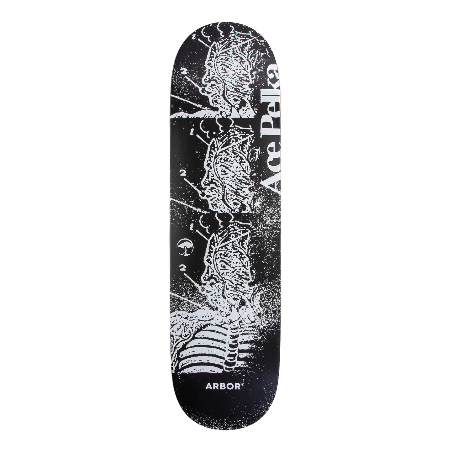 Ace Pelka Anatomy 8.5