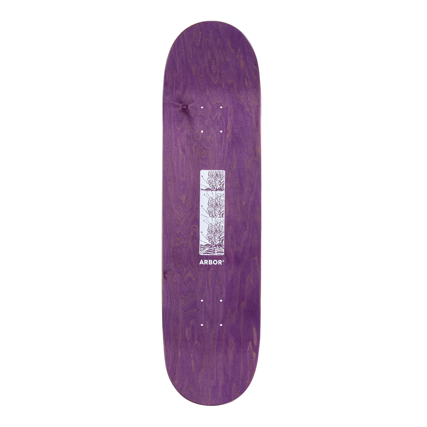 Ace Pelka Anatomy 8.5