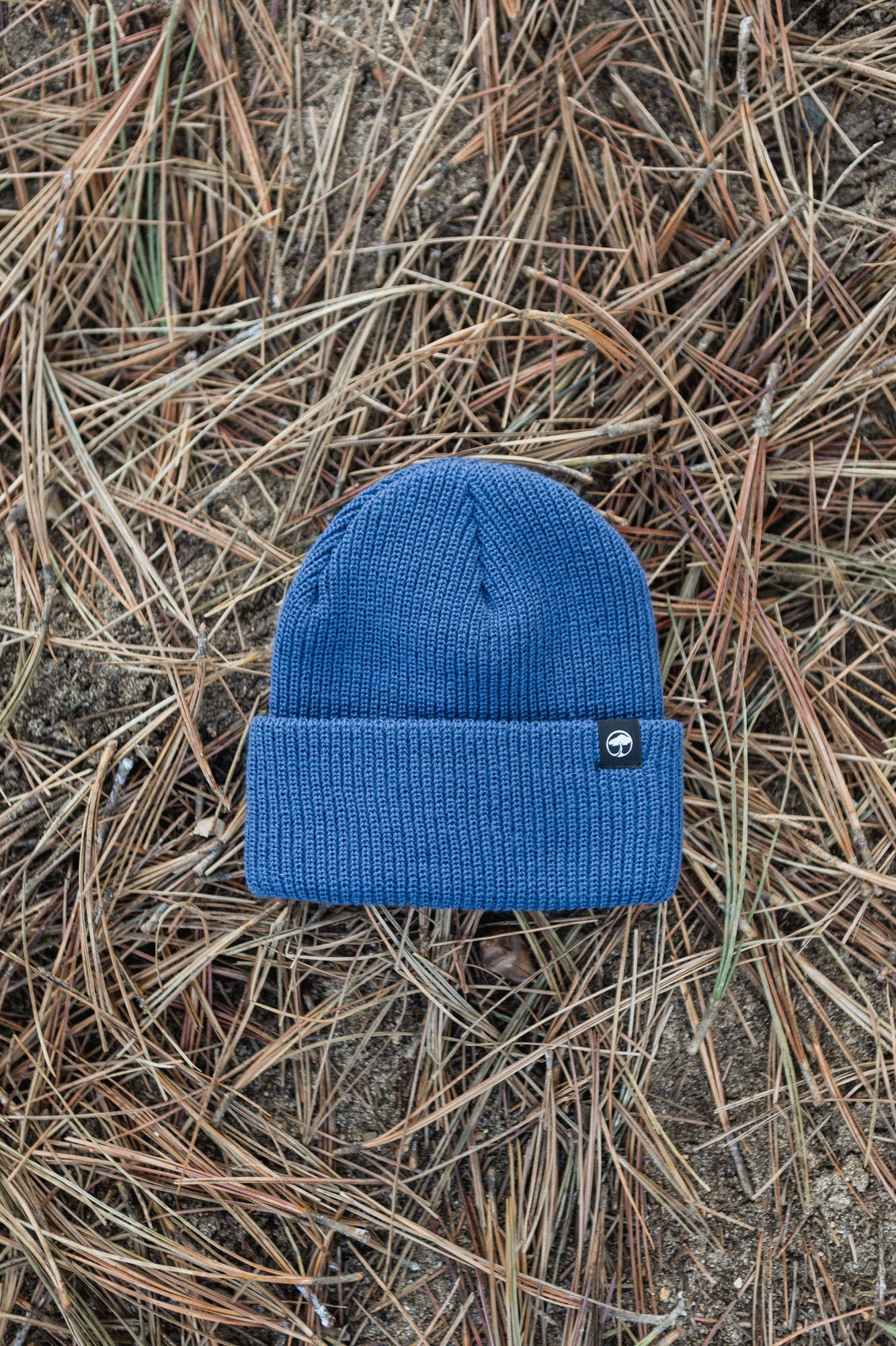 Icon Beanie