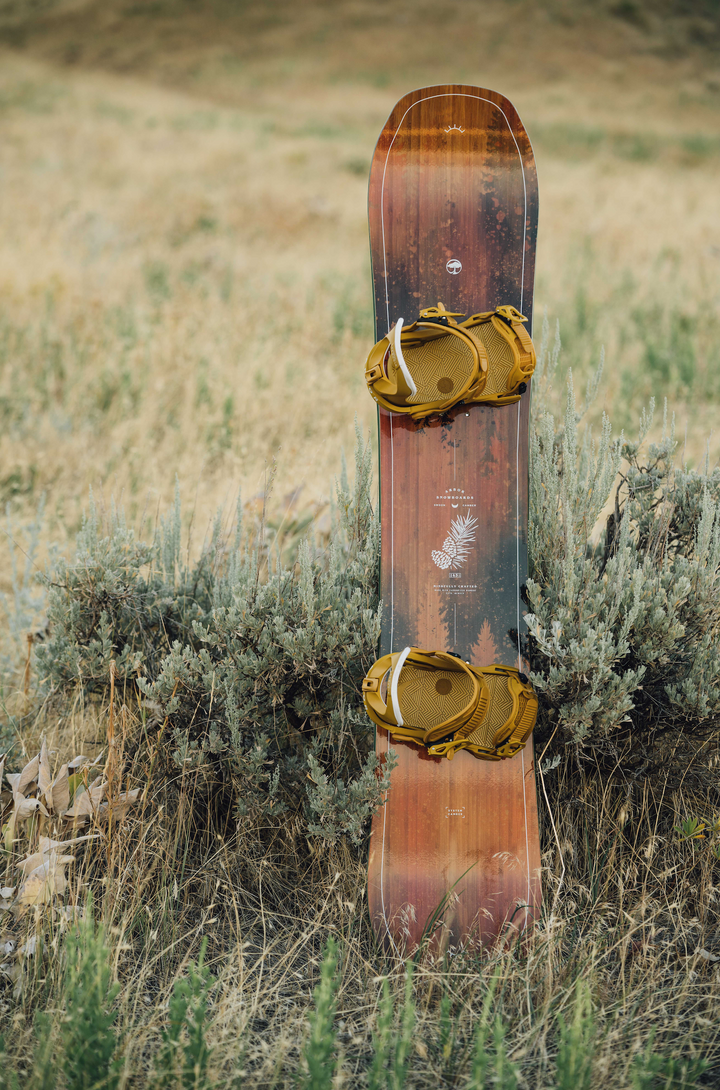 Swoon Camber