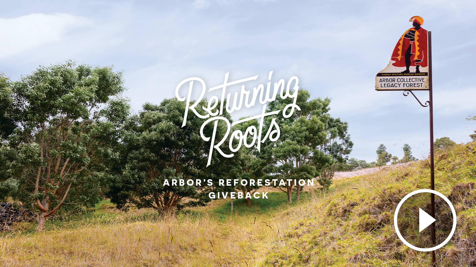 Returning Roots :: Arbor's Reforestation Giveback – Arbor Collective