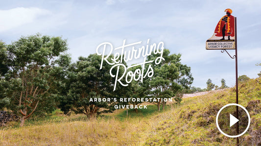 Returning Roots :: Arbor's Reforestation Giveback