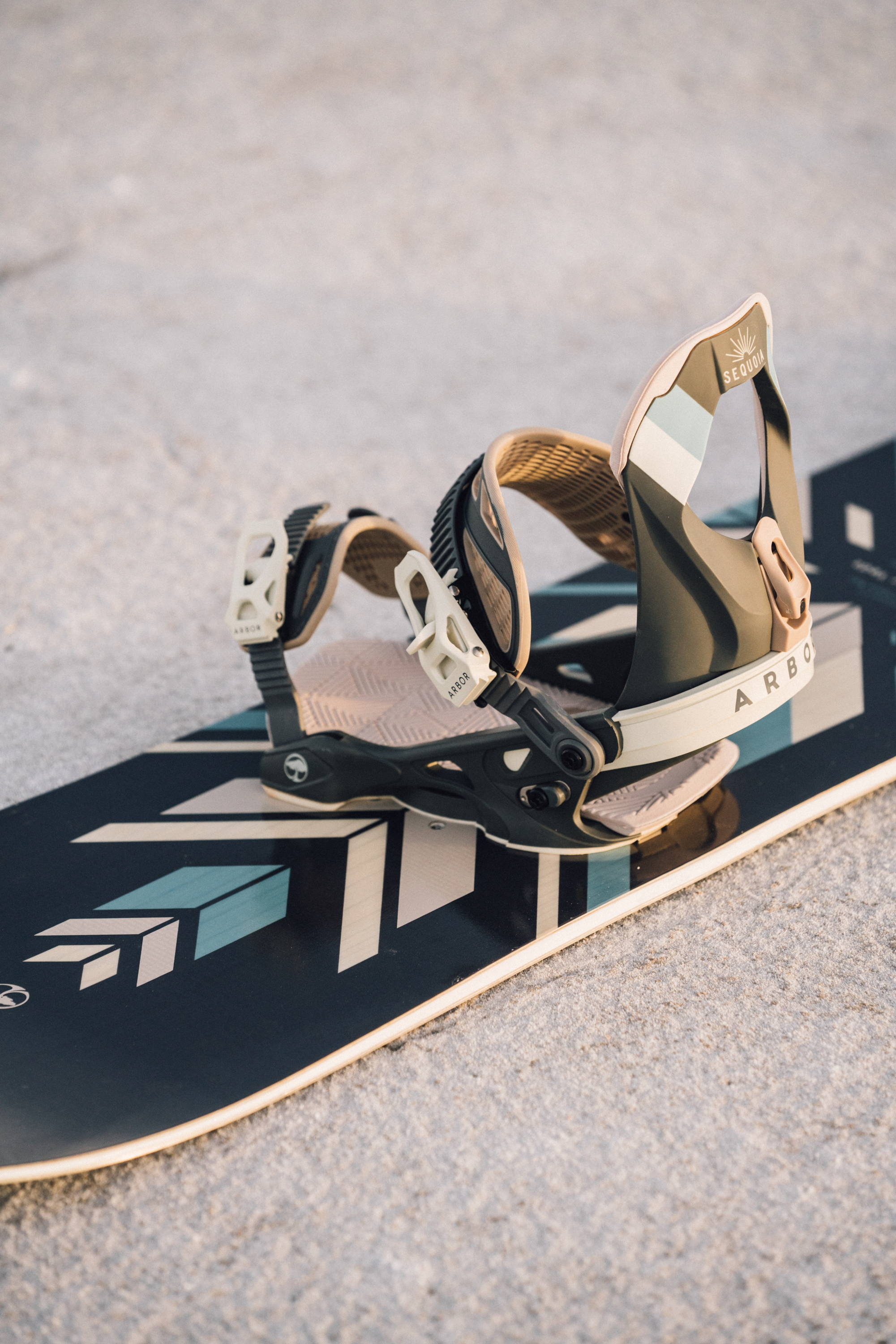Arbor Bindings The Sequoia Arbor Collective