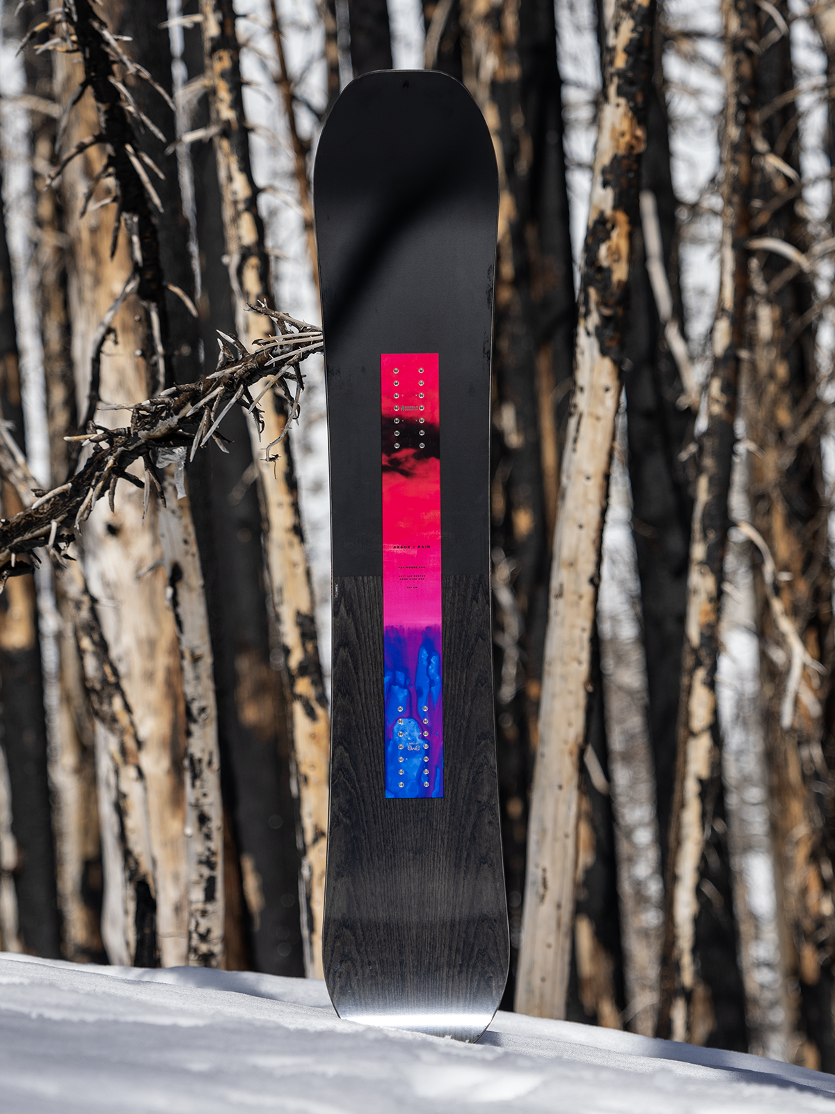 Rain Snowboard