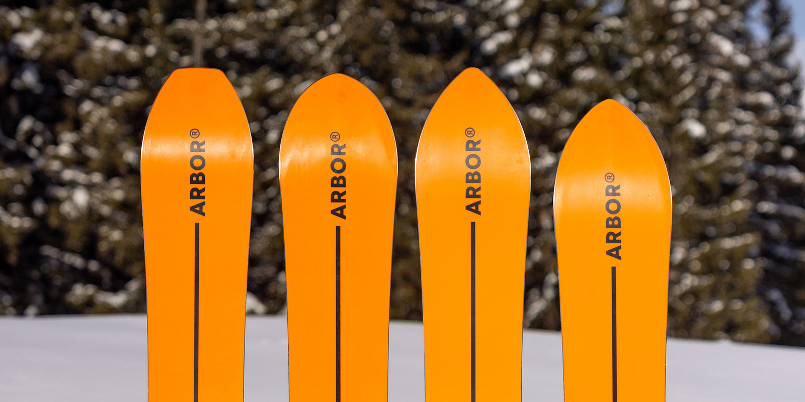 ［ライ］ARBOUR / FOUNDATION SERIES Foundation – Arbor Collective