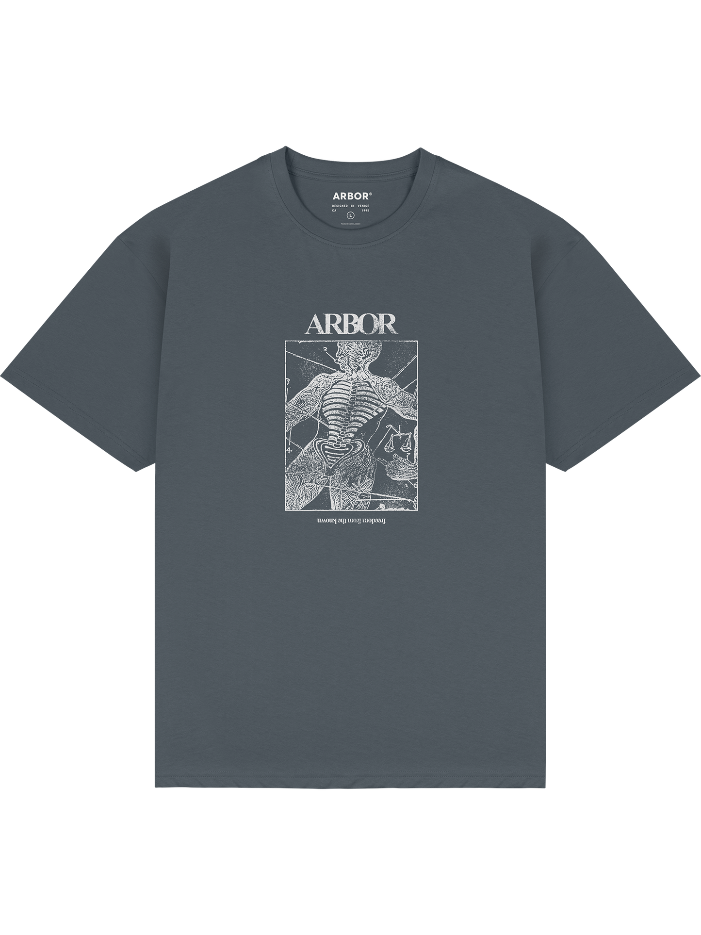 Anatomy T-Shirt - Charcoal / Glow