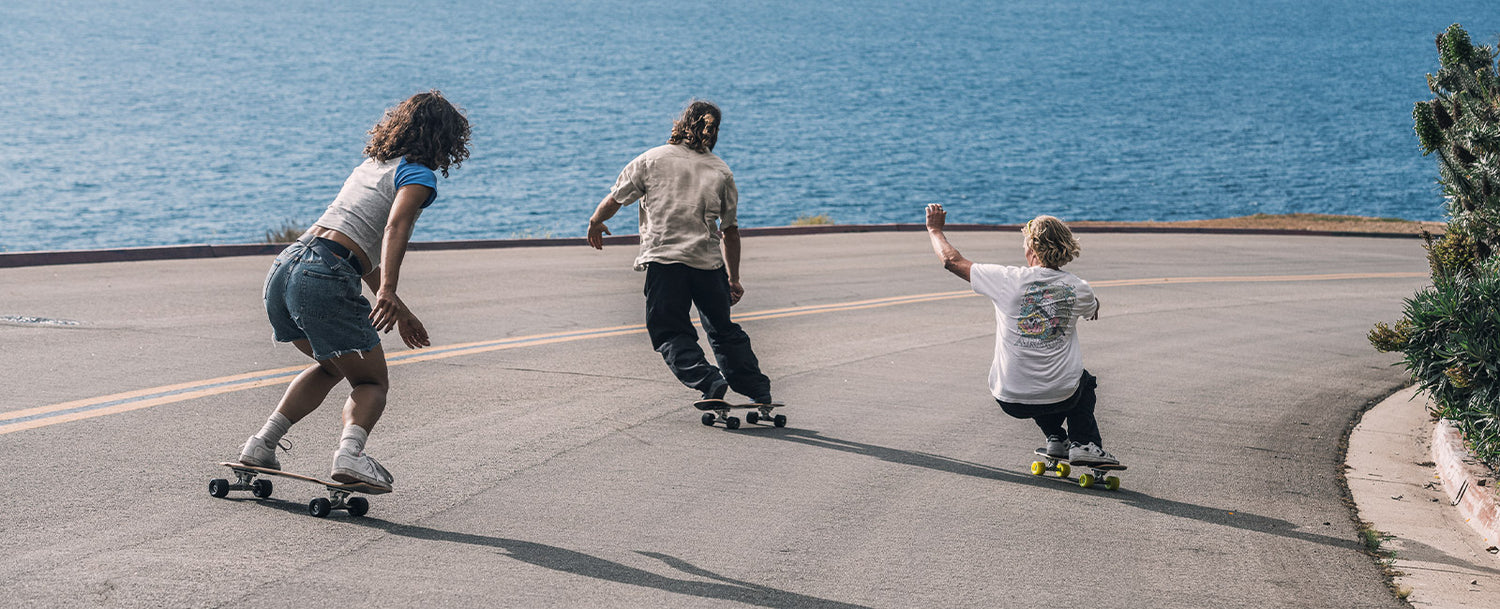 Venice collection cruiser skateboards