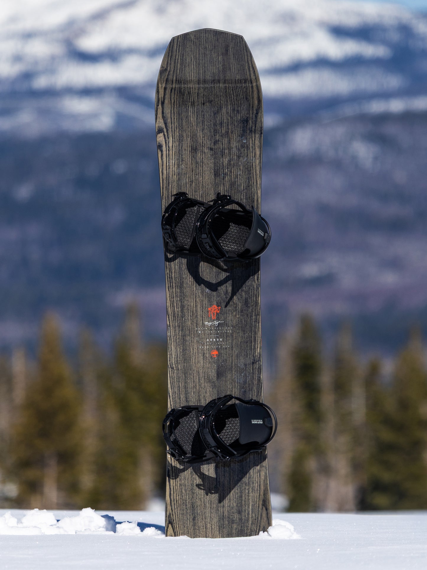 Bryan Iguchi Pro Snowboard