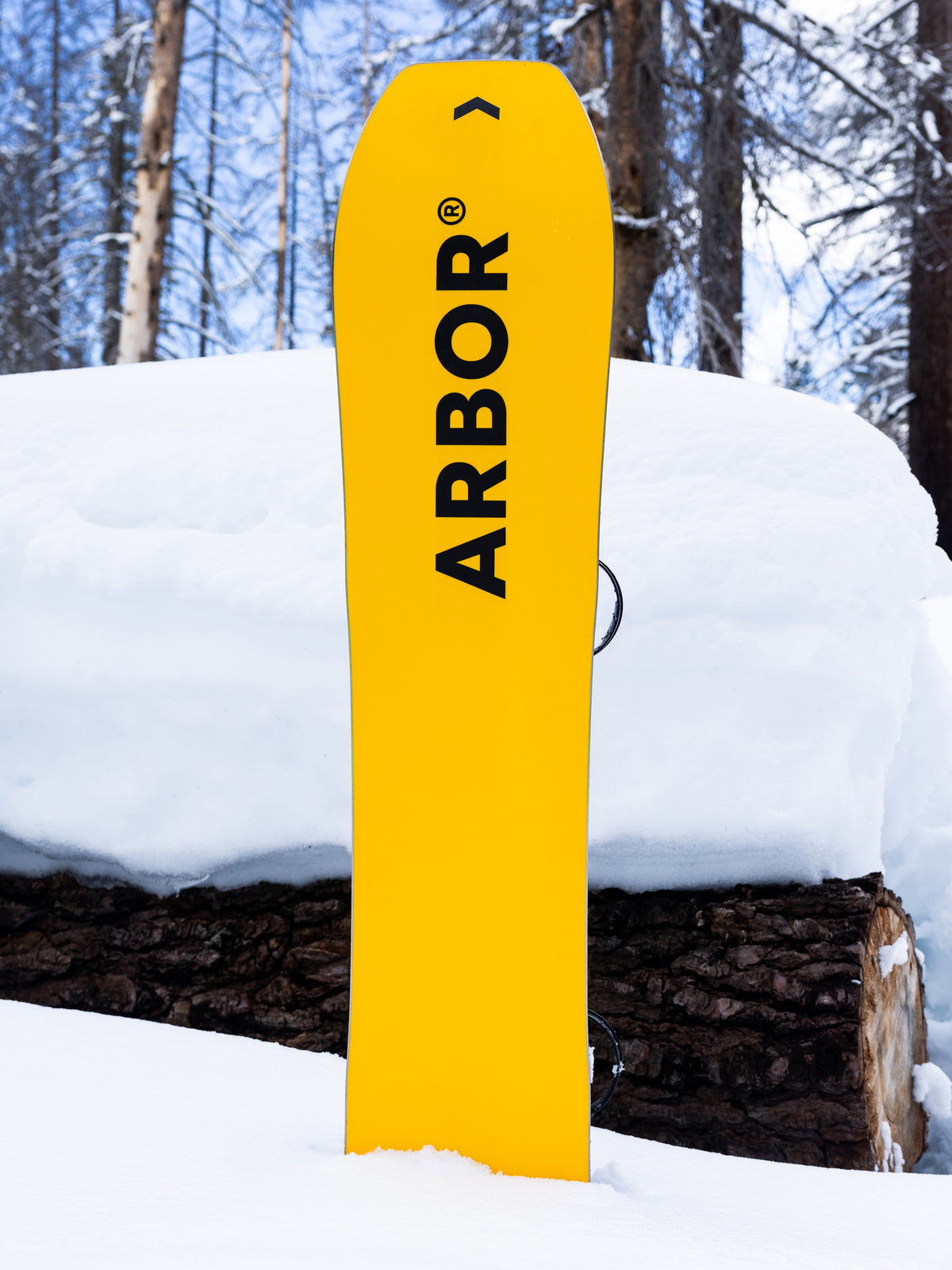 Carbon Coda Snowboard