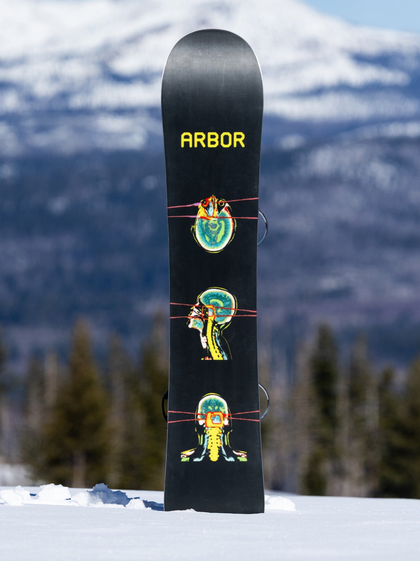El Camino Snowboard