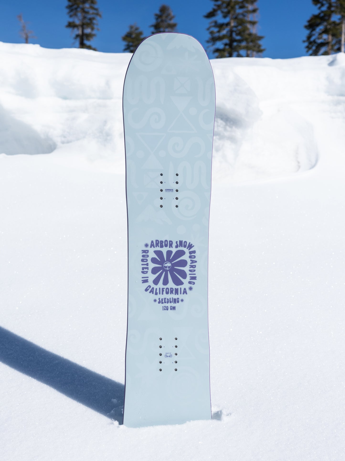 Seedling Snowboard