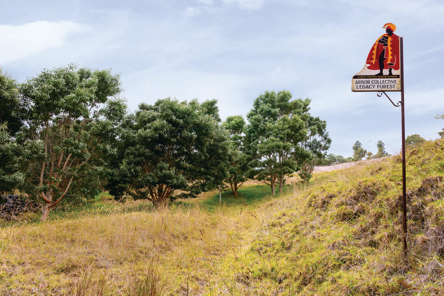 Arbor Collective Legacy Forest