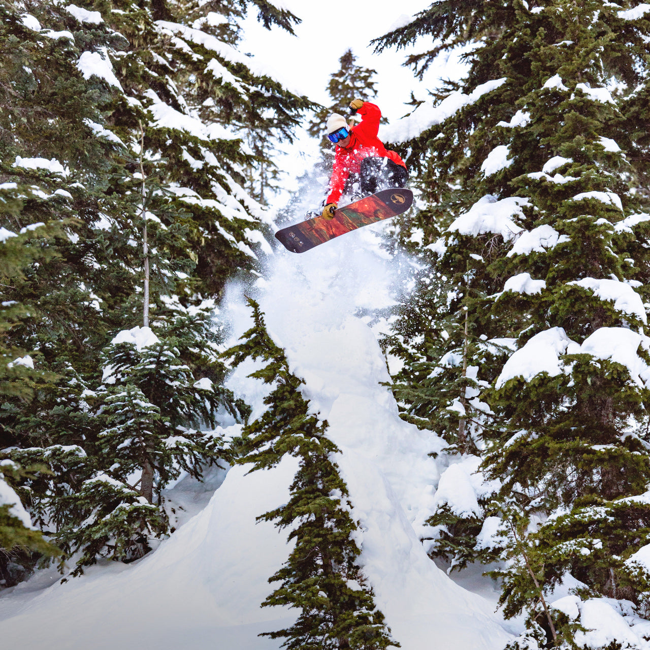 Arbor Collective Skateboards, Snowboards, Clothing & Accessories