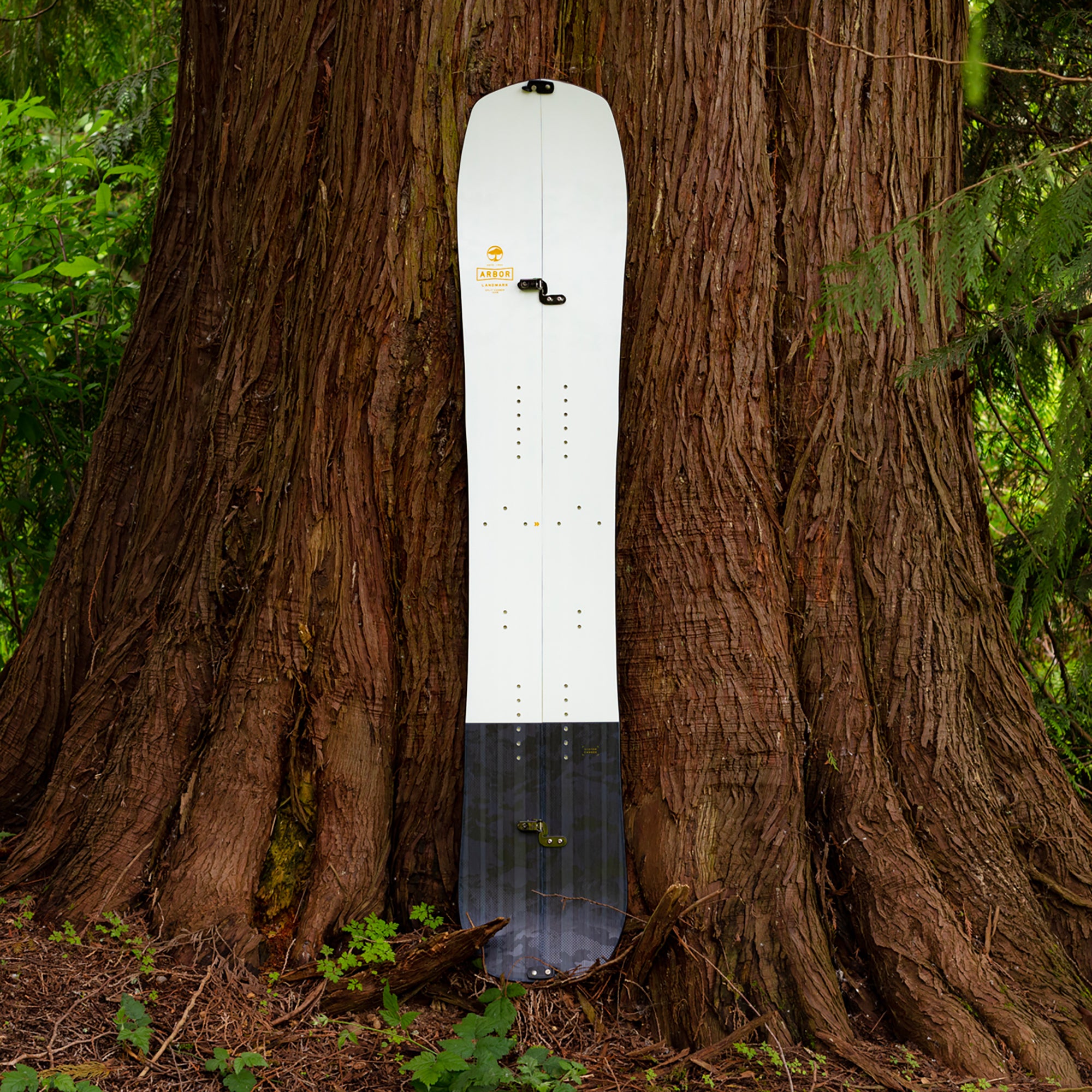 Arbor Snowboards - Landmark Splitboard Rocker – Arbor Collective