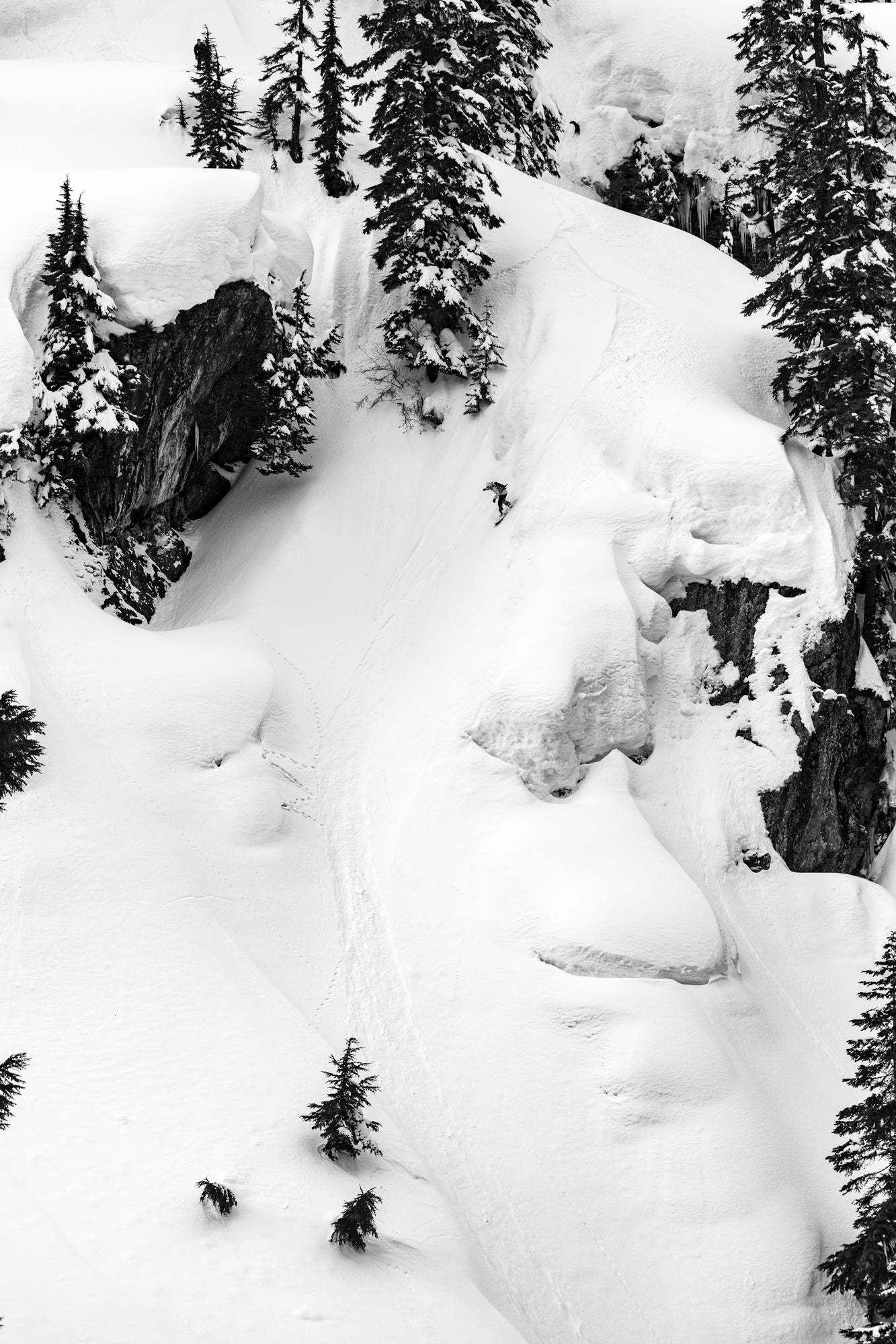 Arbor Snowboards - Swoon Camber – Arbor Collective