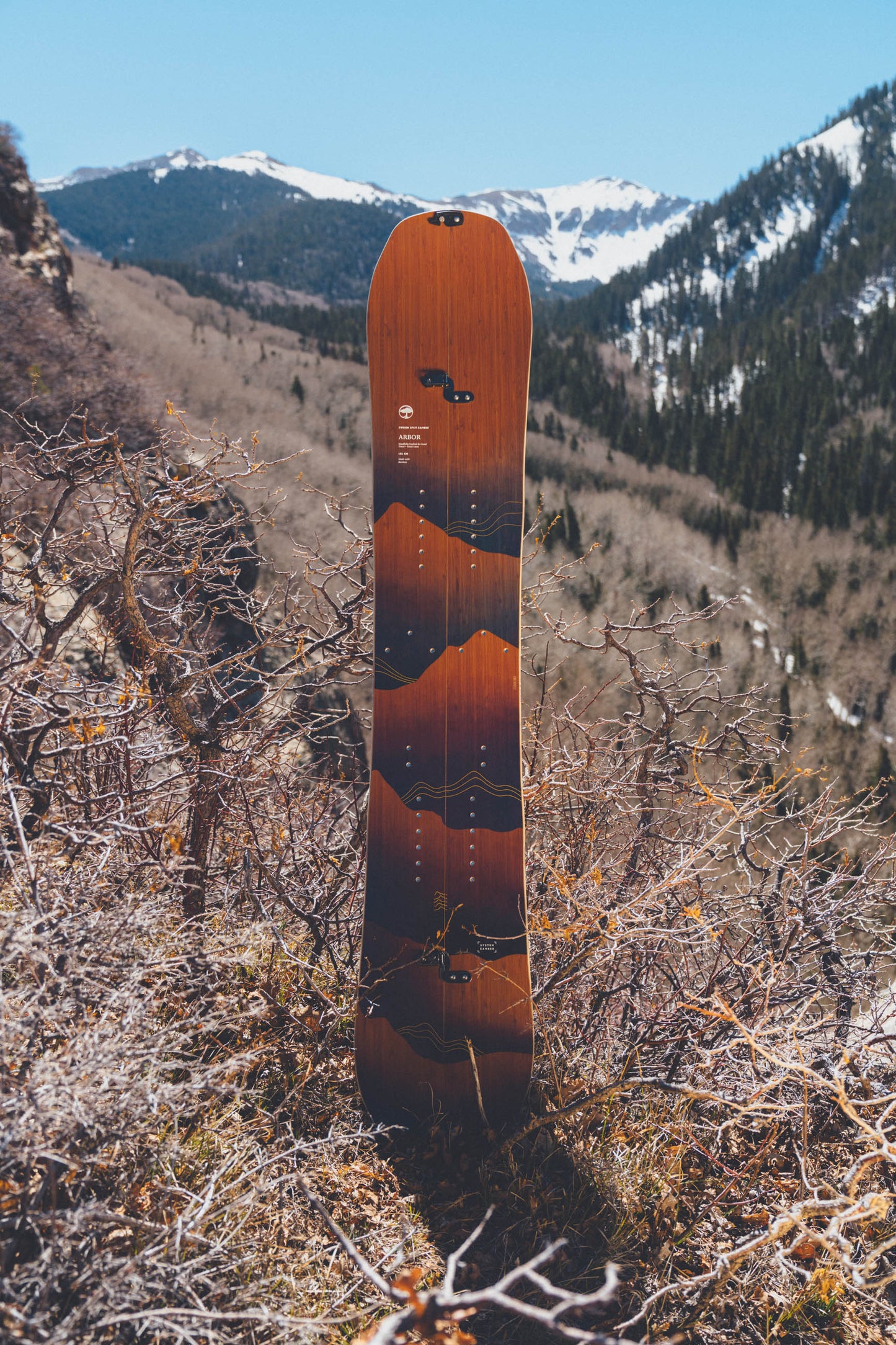 Swoon Splitboard Rocker