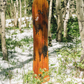 Swoon Splitboard