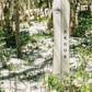 Swoon Splitboard