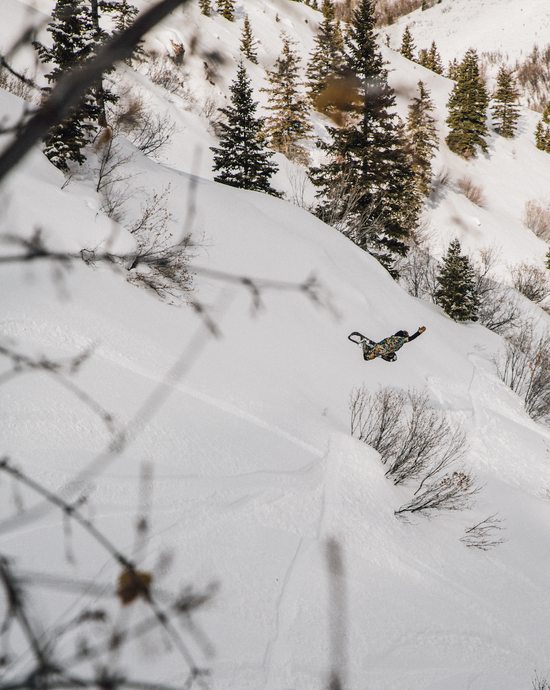 arbour element camber