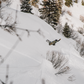 noteable-features
